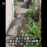 動画サムネイル
