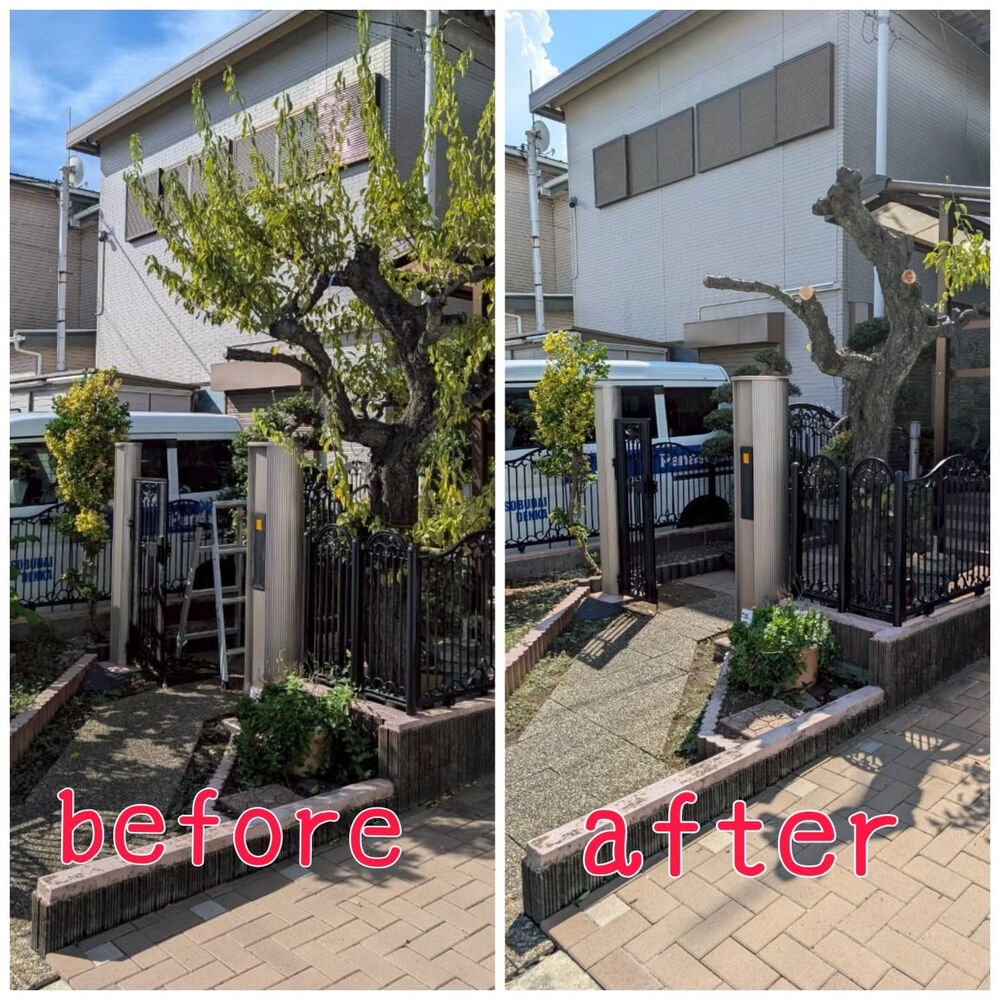 ブログ画像