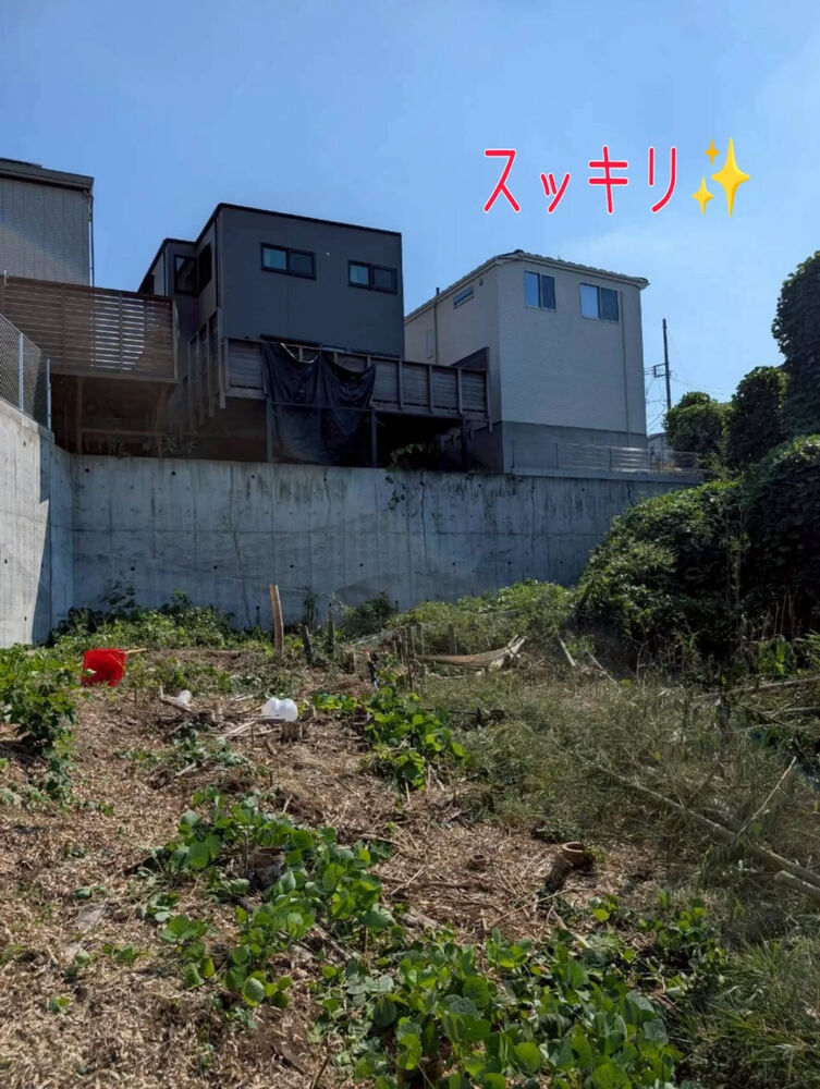 ブログ画像