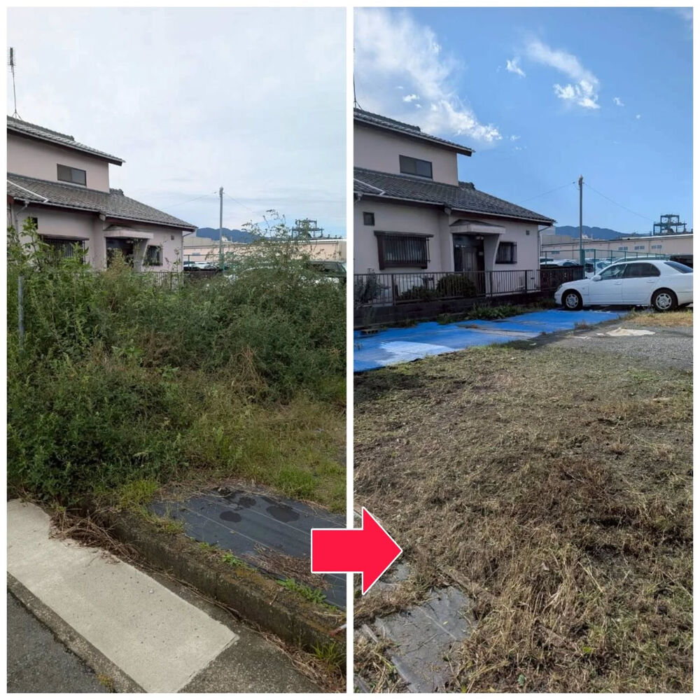 ブログ画像