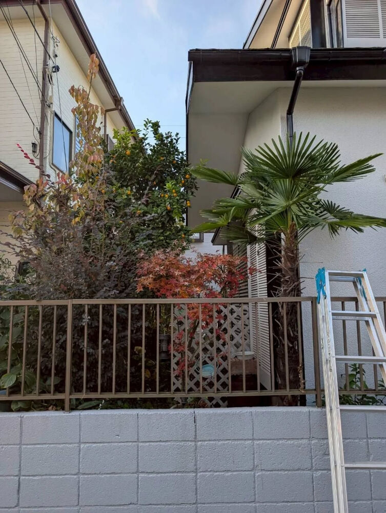 ブログ画像