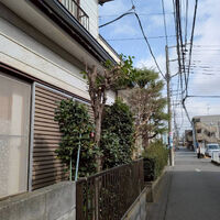 ブログ画像