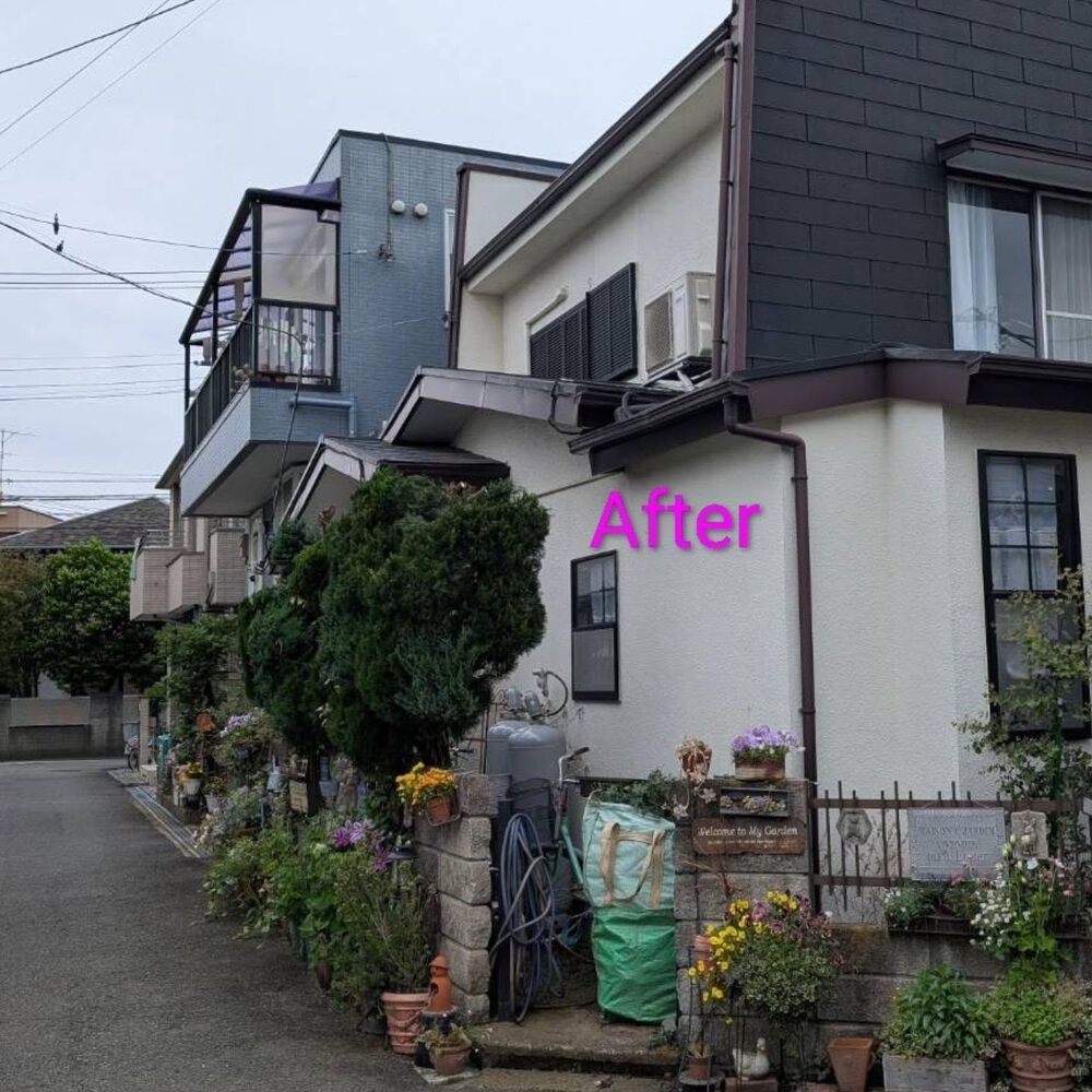 ブログ画像