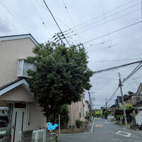 ブログ画像