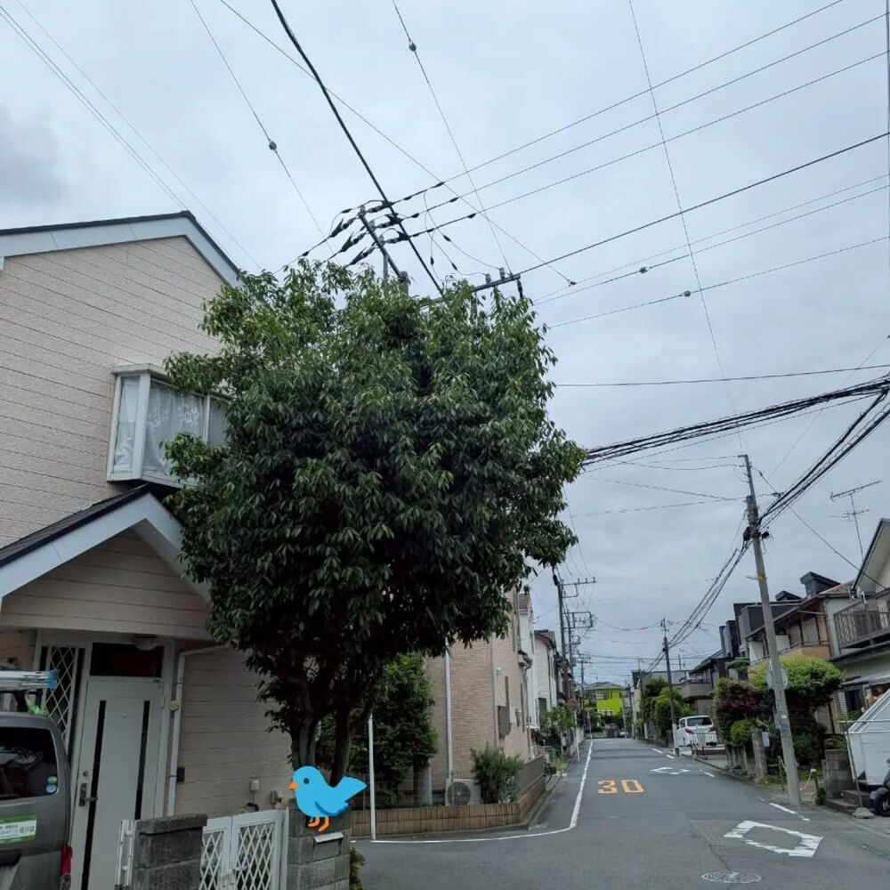ブログ画像