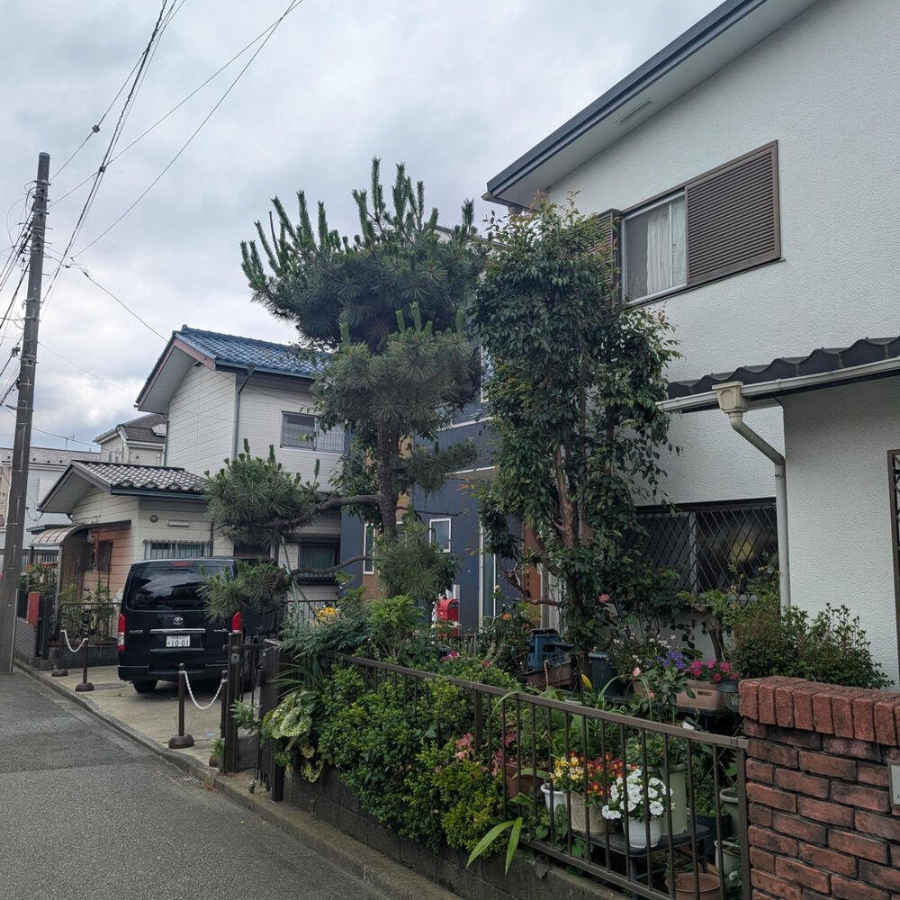 ブログ画像