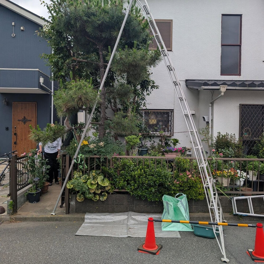 ブログ画像