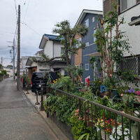 ブログ画像