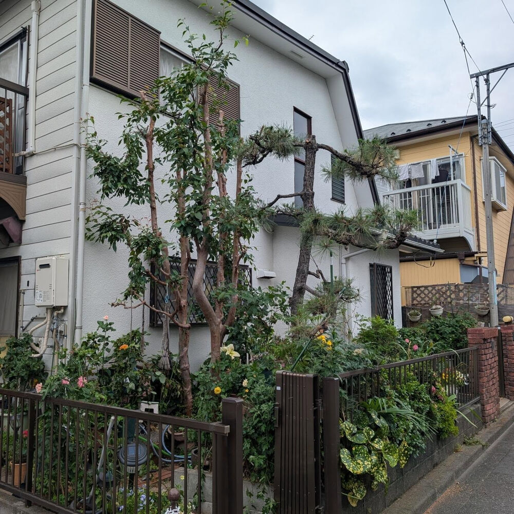 ブログ画像
