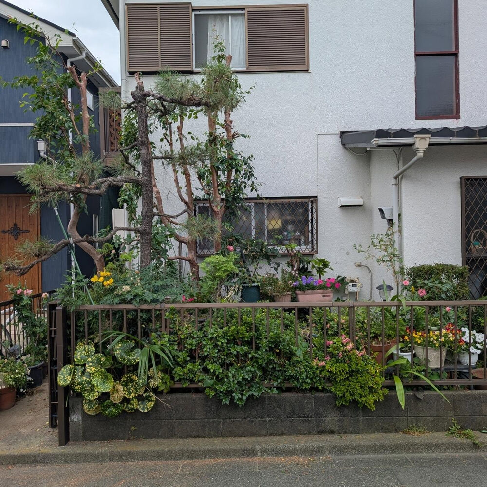 ブログ画像