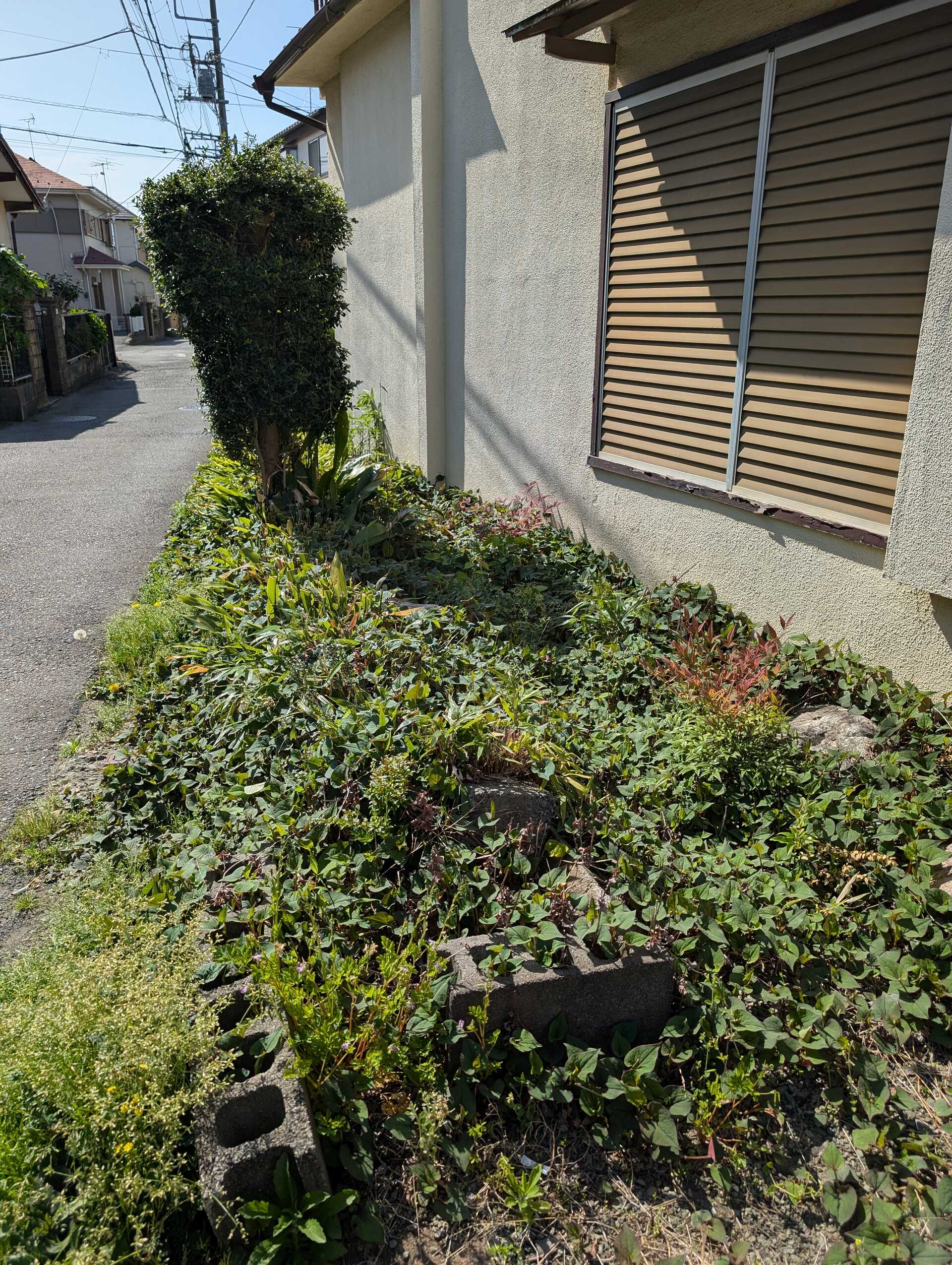 ブログ