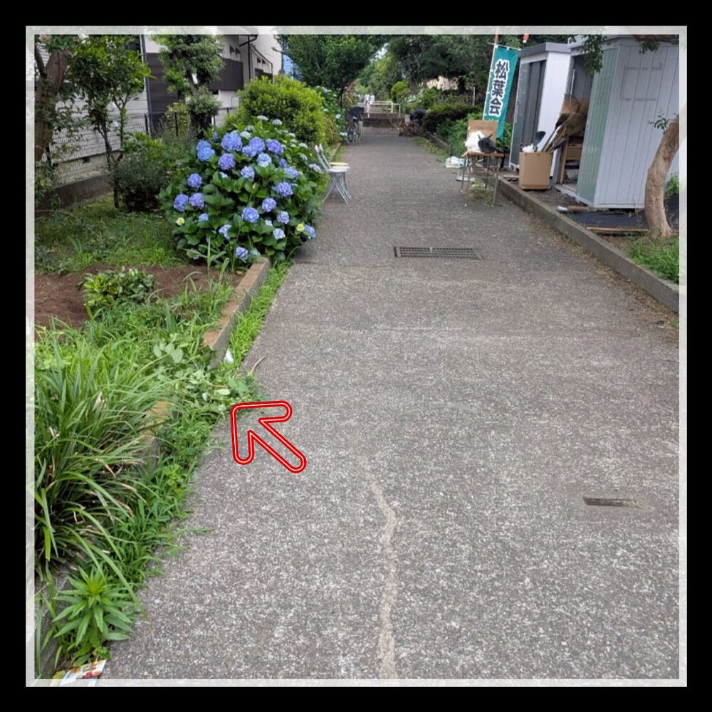 ブログ画像