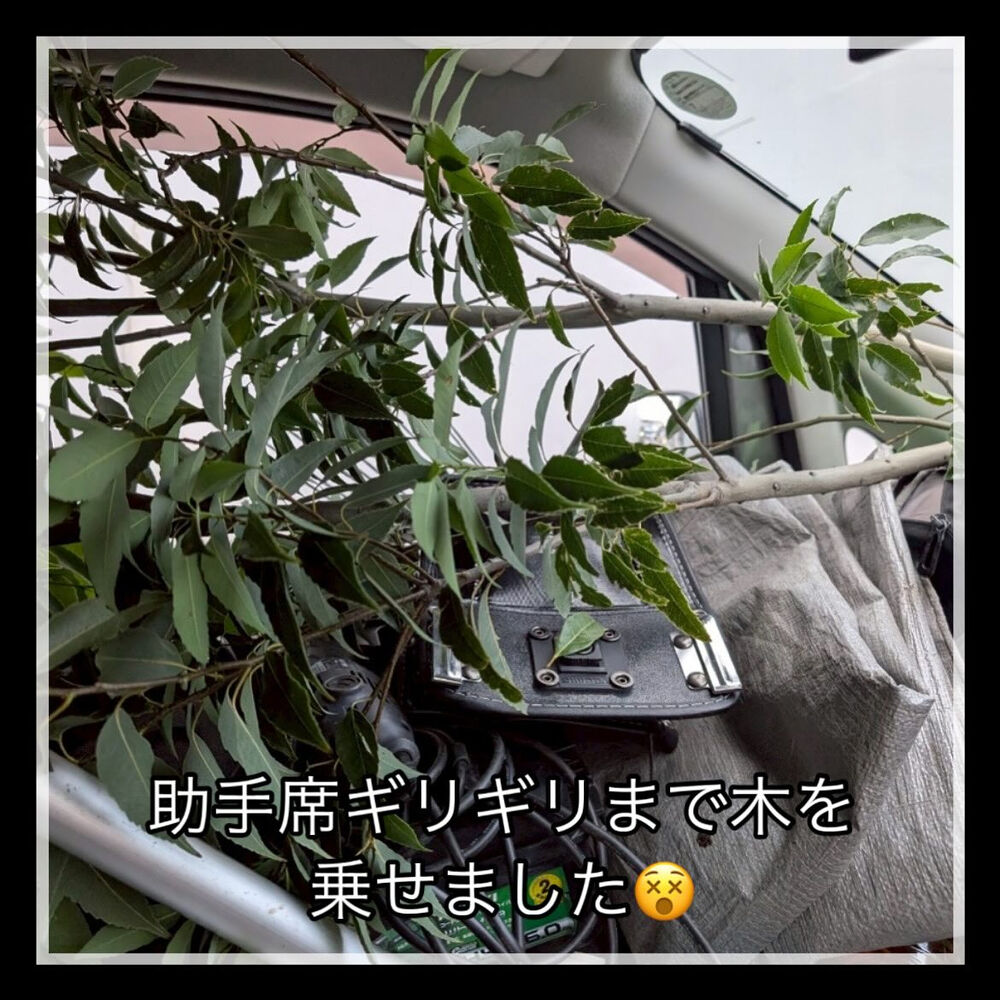 ブログ画像